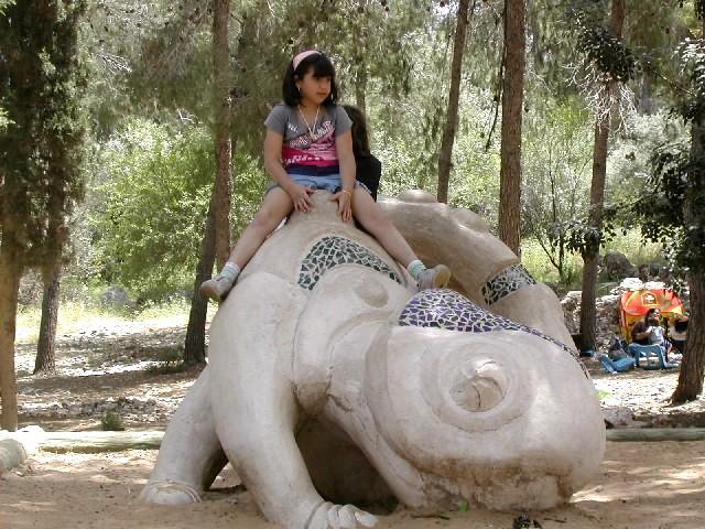 "זיקית" ביער