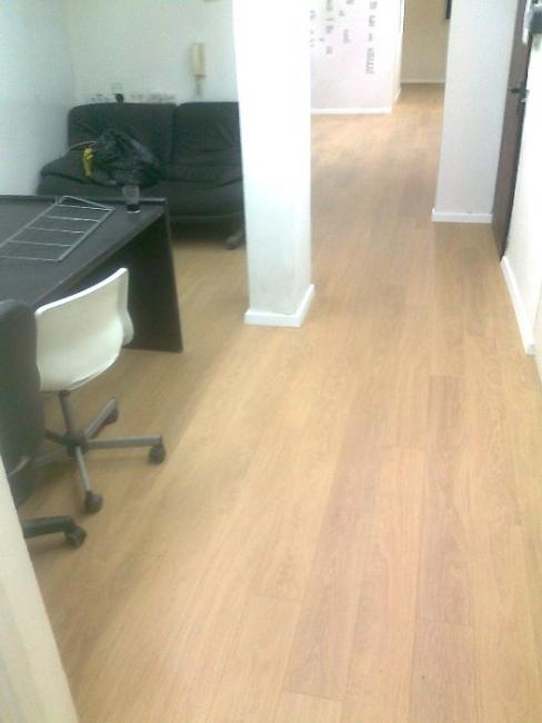 פרקטים בתל אביב חב' וויט פורסט