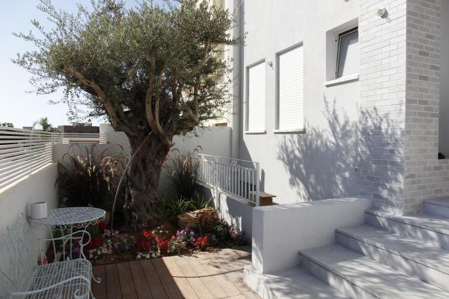 ירידה חיצונית למרתף וגינה.