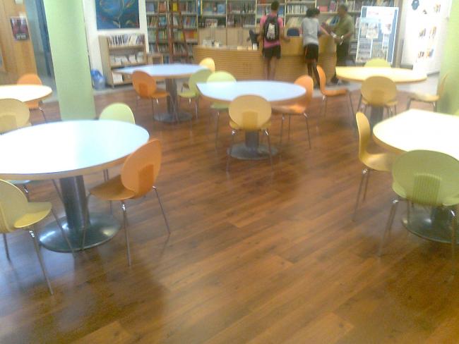 פרקטים לבית ספר בן גוריון נ"צ