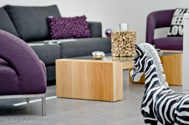 איבזור המתאים לאהבת החיות של בעלת הבית