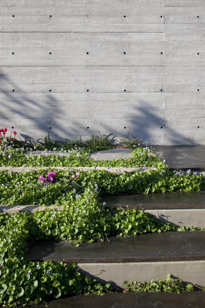 בטון חשוף בתכנית קרשים גסה