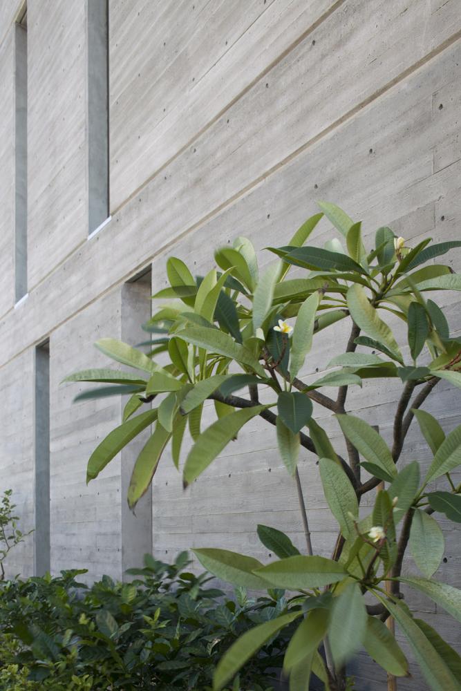 קיר בטון חשוף בתבנית קרשים גסה