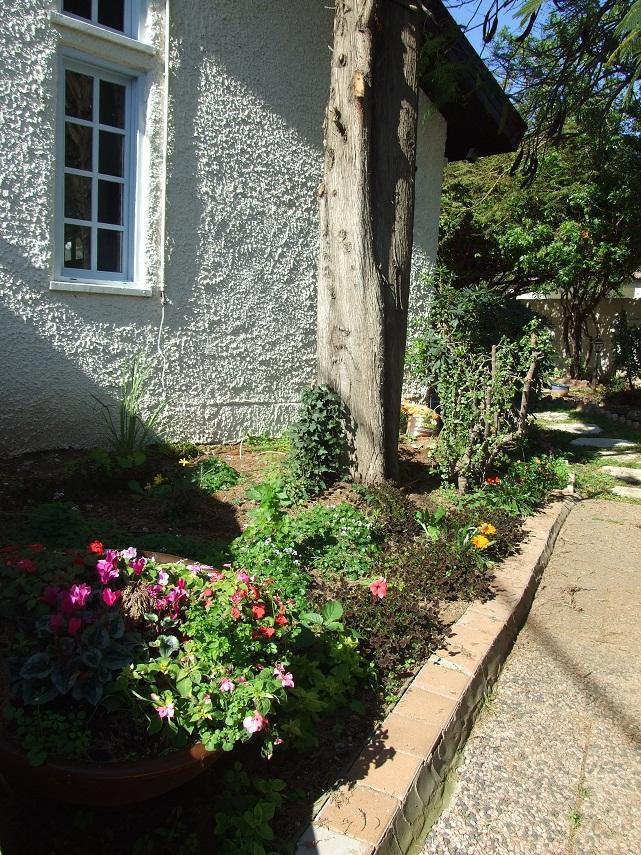 חזית- שילוב ישן עם חדש