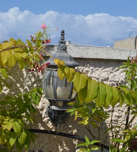 עיצוב גג בחולון