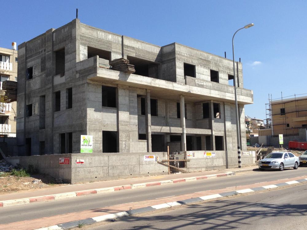 שלד