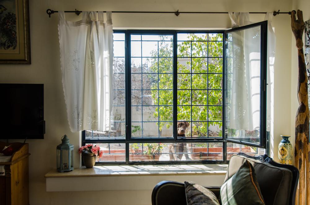 כפר האורנים