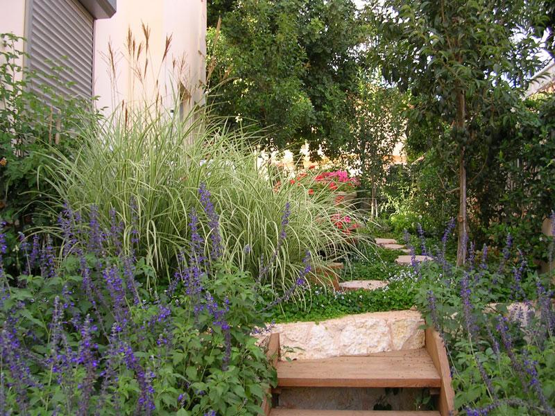 גרם מדרגות מעוטר בצמחייה