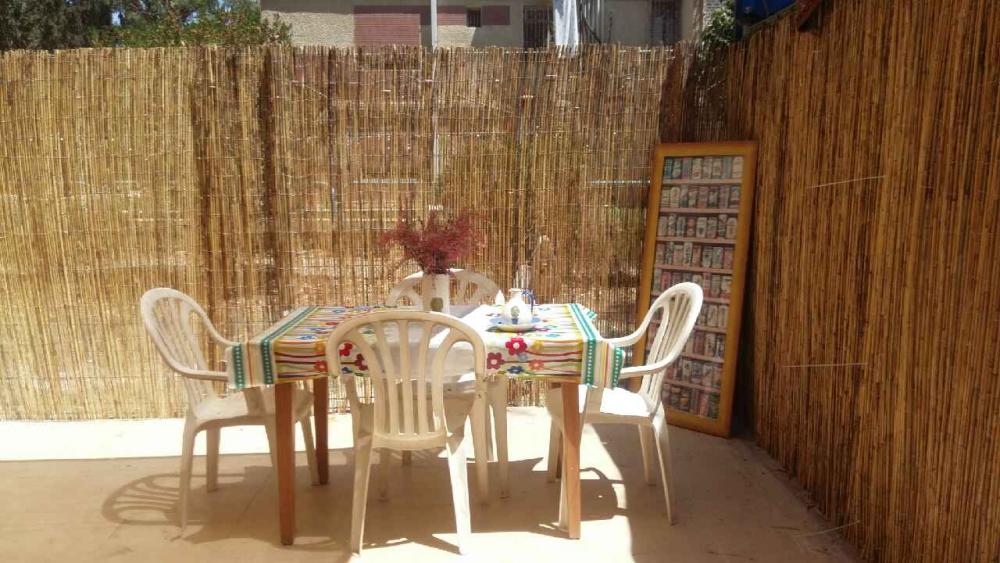 גינה אחורית