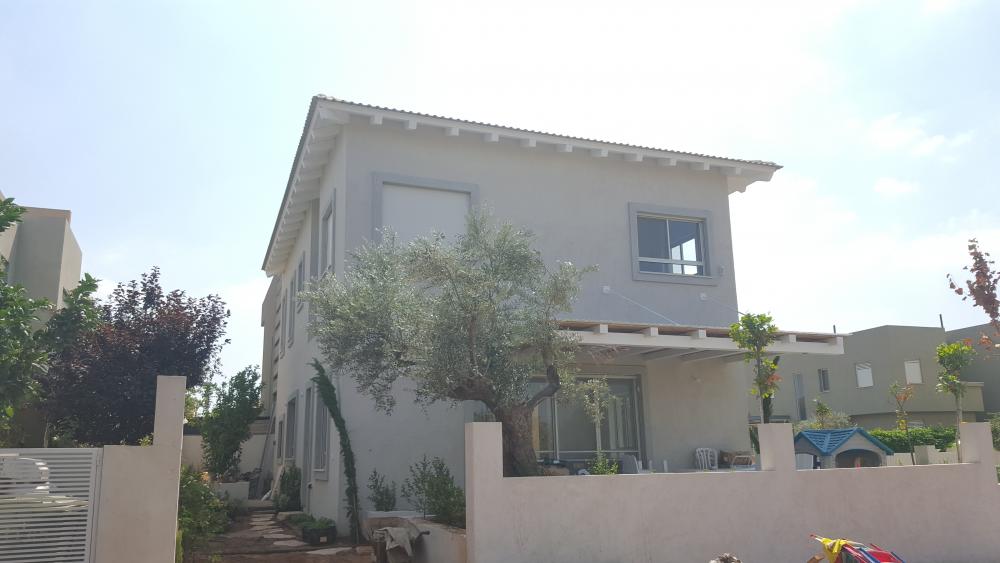 חזית קדמית.