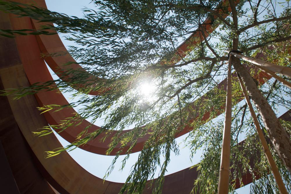 עקומות וטבע