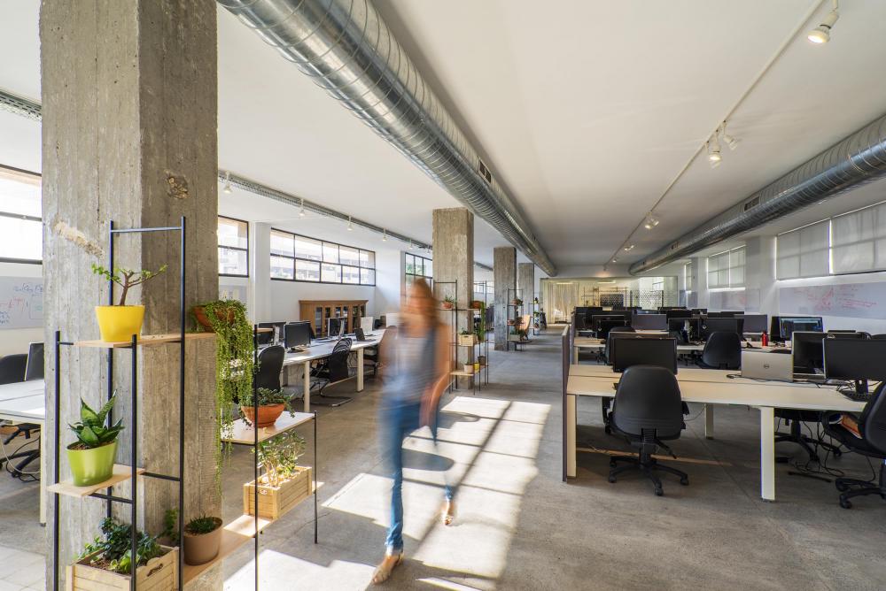 צילום משרדי חברת Cortica