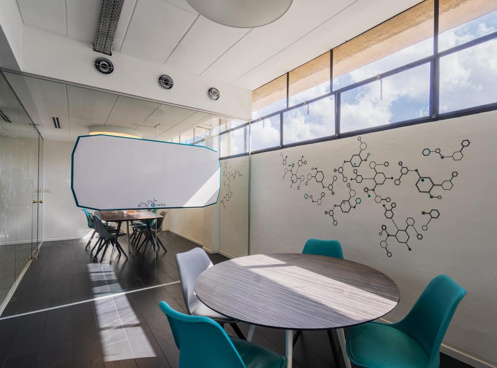 צילום משרדי חברת Cortica