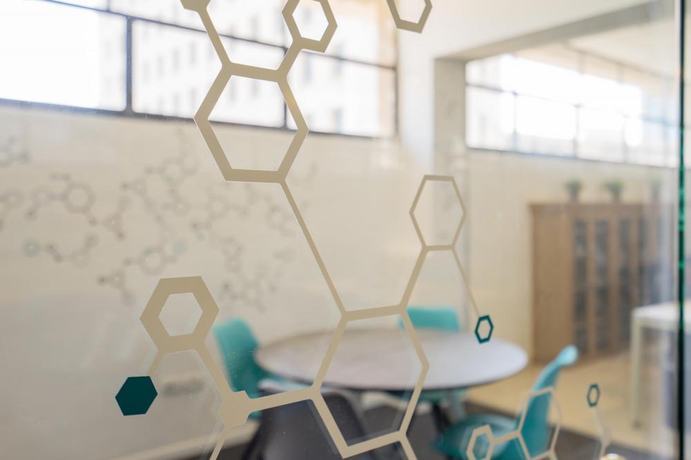 צילום משרדי חברת Cortica