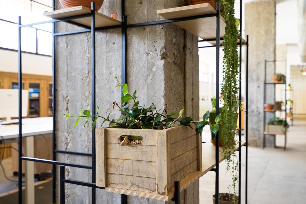 צילום משרדי חברת Cortica