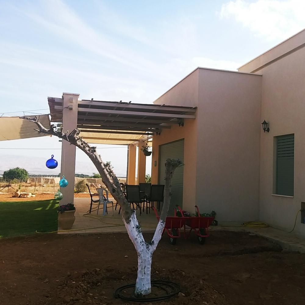 חזית אחורית