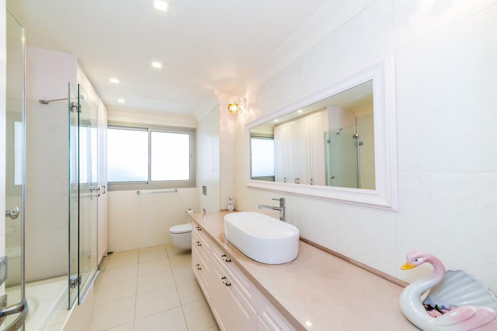 דירה ברמת אביב