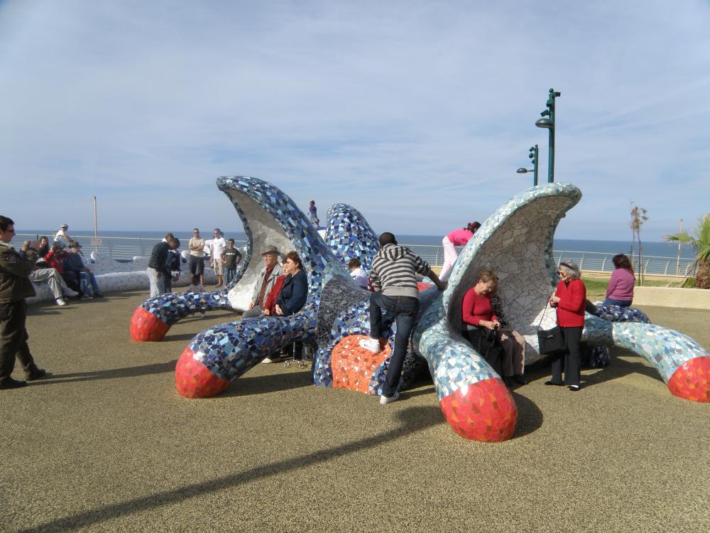 ספסל "כוכב ים"