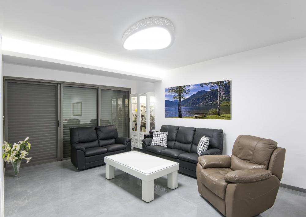 מבט אל הסלון