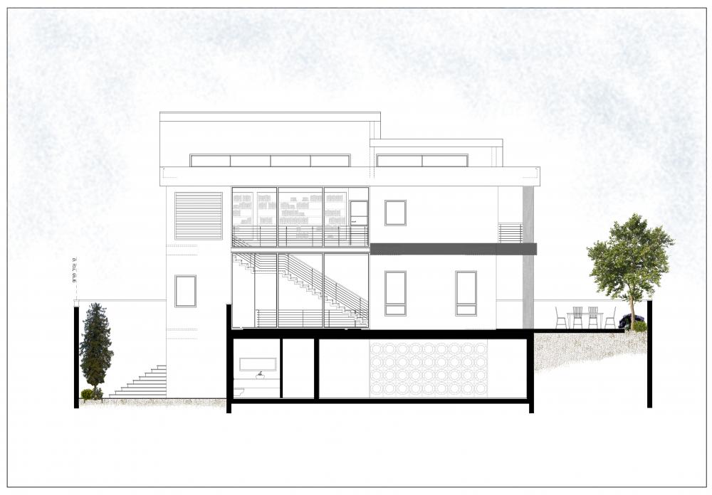 חזית צד - הצגה גרפית