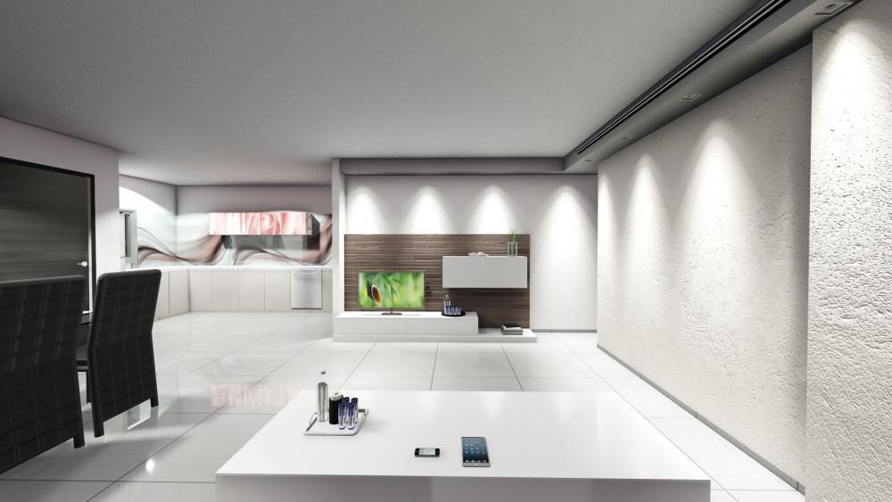 סלון אופציה 1