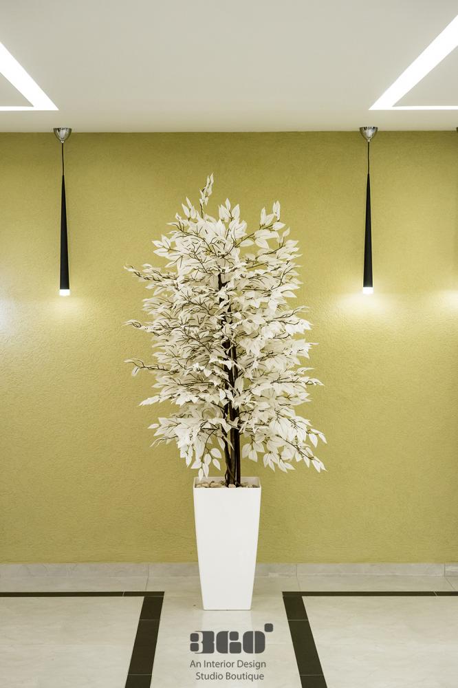 פרויקט התישבי 130 חיפה