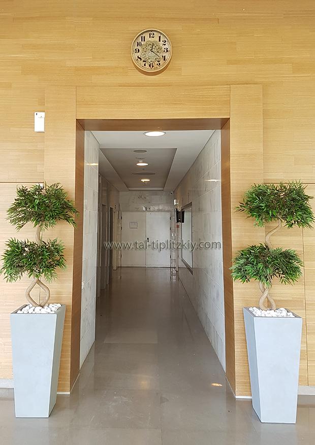 כדים עם צמחייה