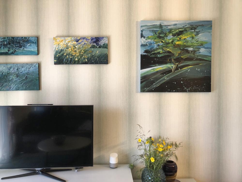 ציורי אוירה