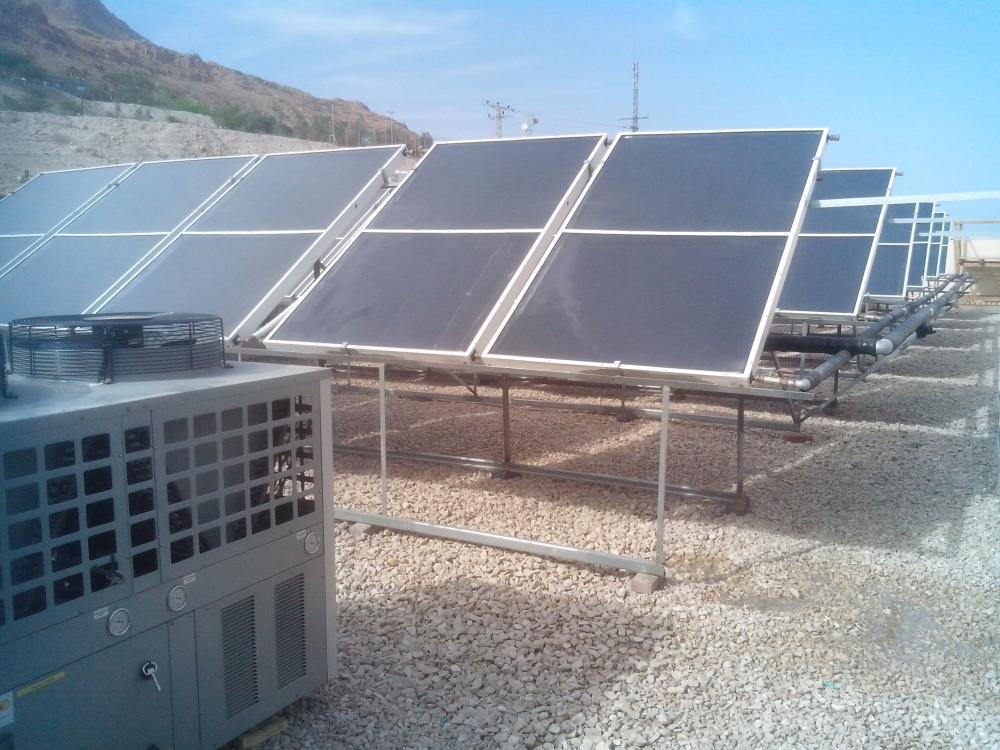 בית הארחה עין גדי - אכסנייה