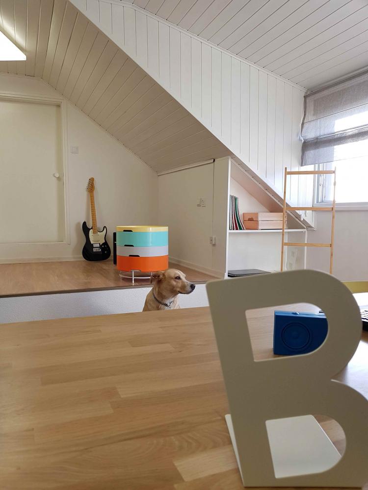 עליית גג מחודשת