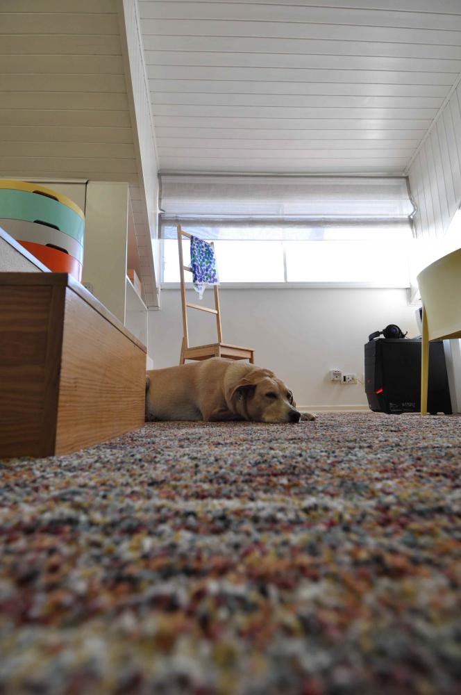 עליית גג מחודשת