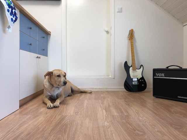 עליית גג מחודשת