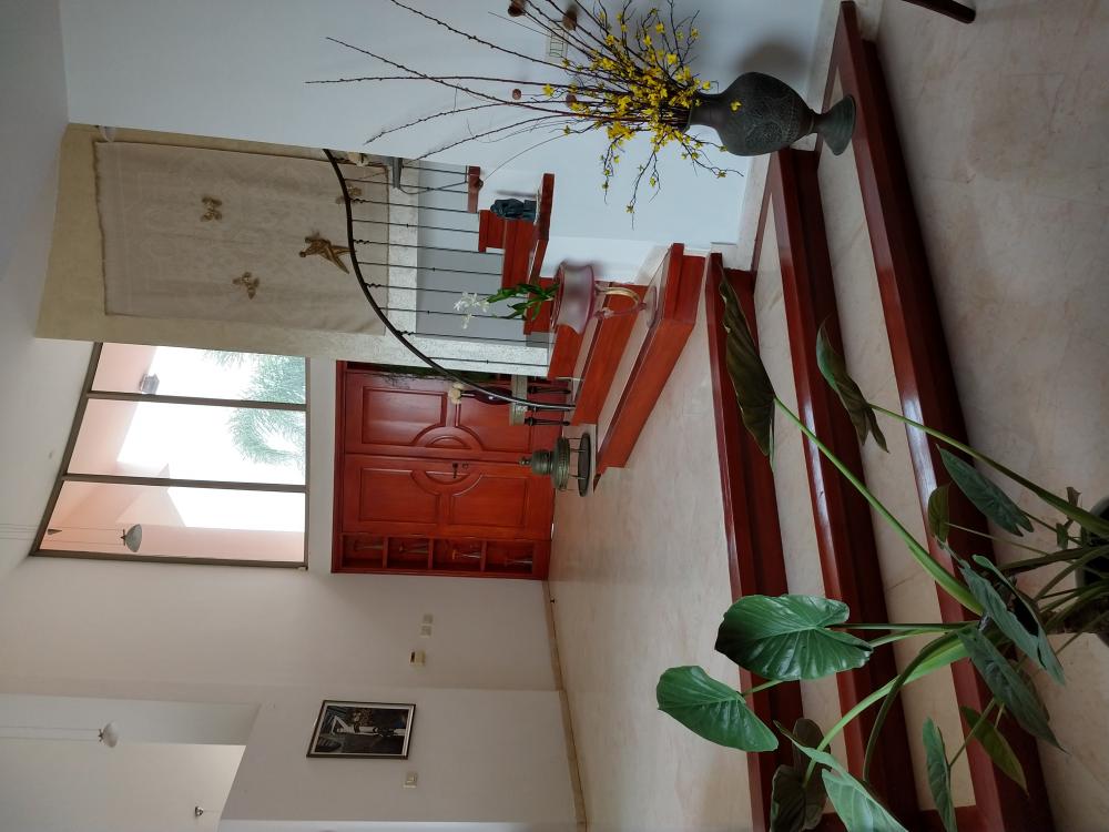 המדרגות והכניסה